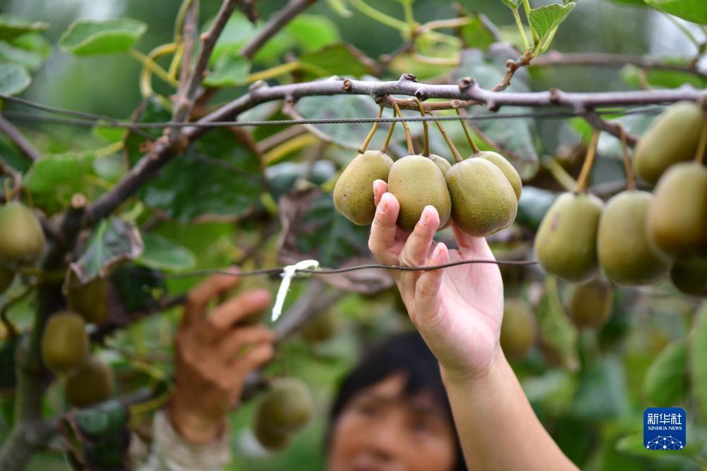 长乐坊游戏官网